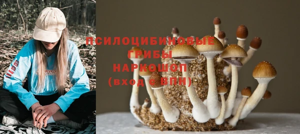 амф Алексеевка