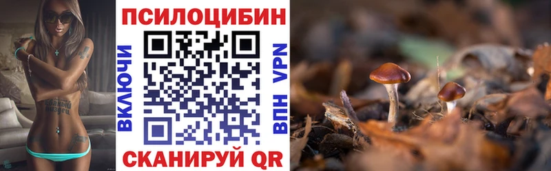 Псилоцибиновые грибы мицелий Всеволожск